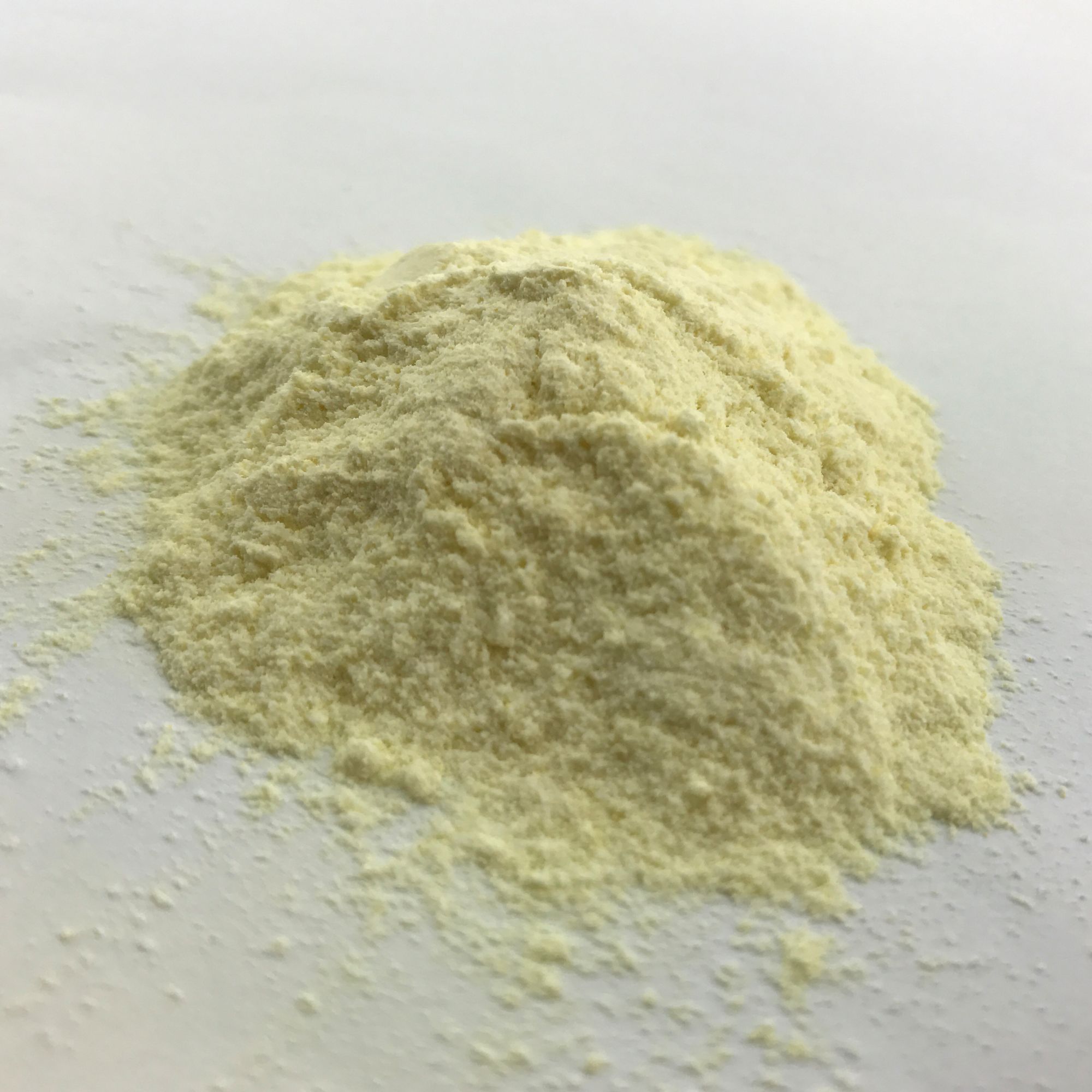 Orni-Chlam – Obrázok 2