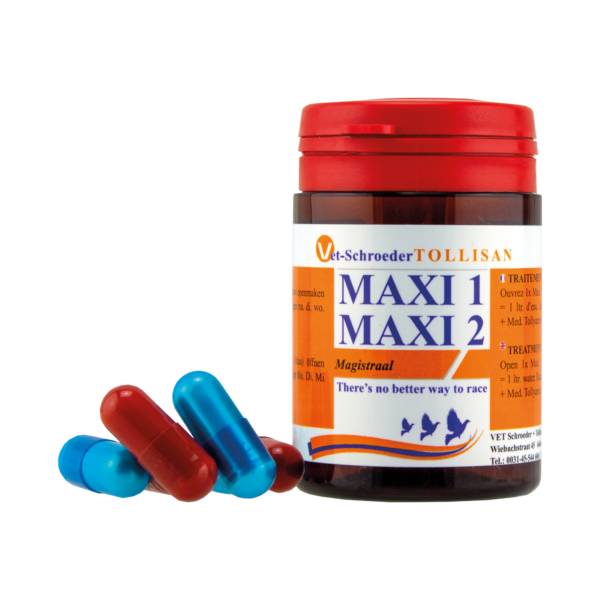 Maxi I + Maxi II - Image 3